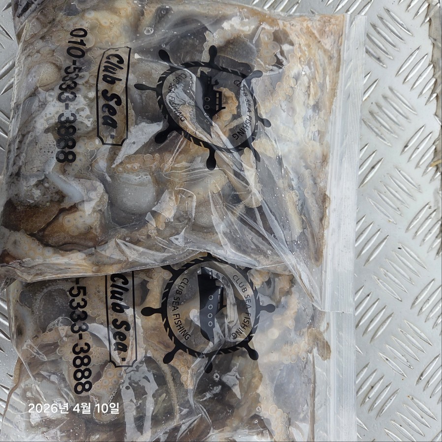 4월10일 마린호 봄쭈조황입니다