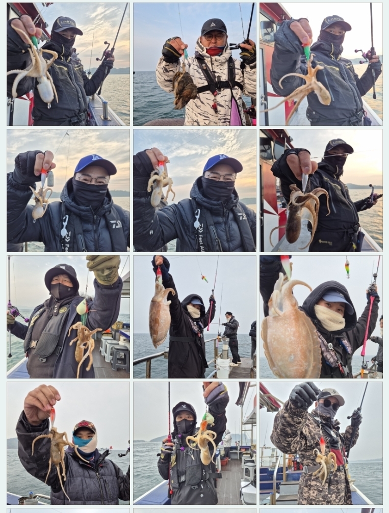 5월2일 뉴대성호 주꾸미조황