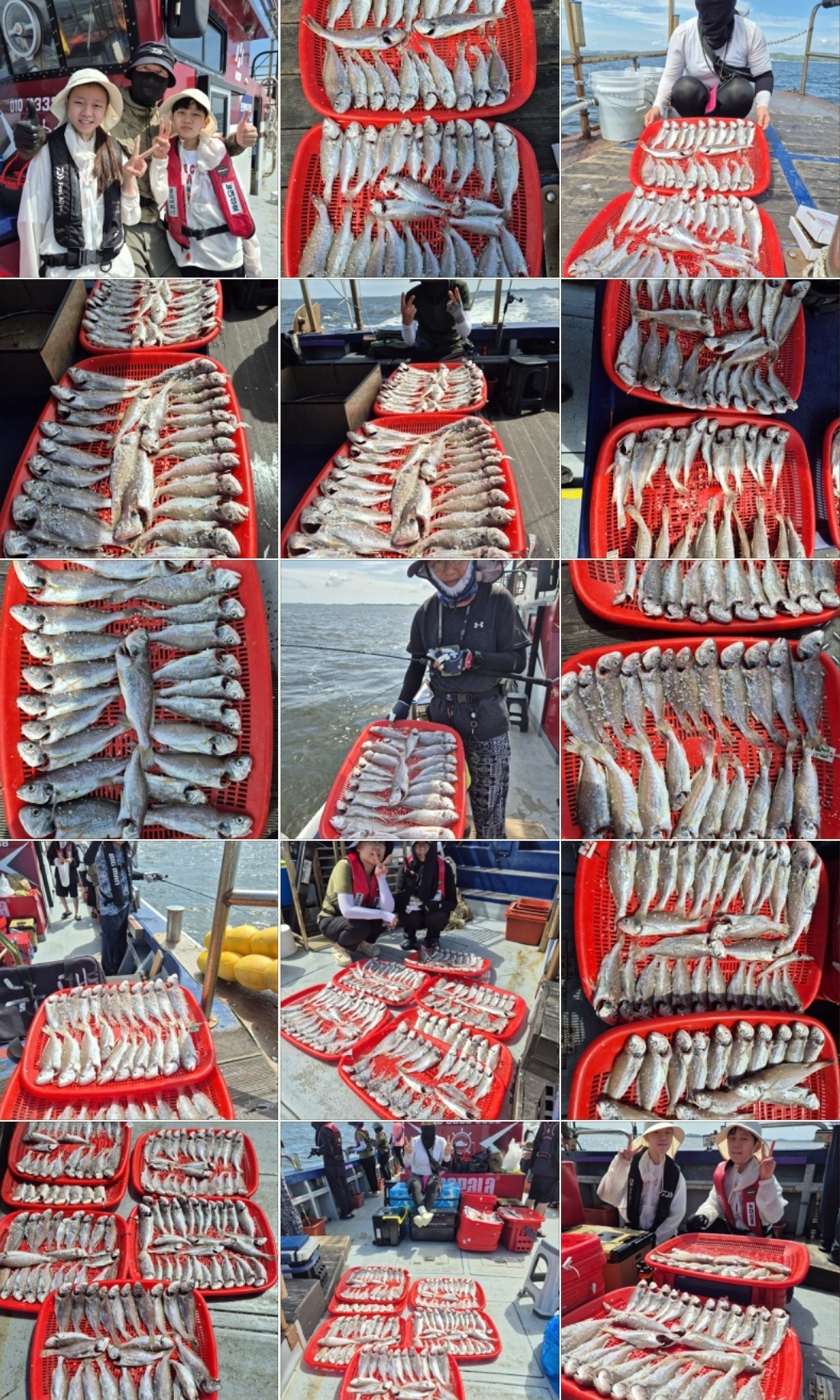 7월27일 뉴대성호 백조기조황