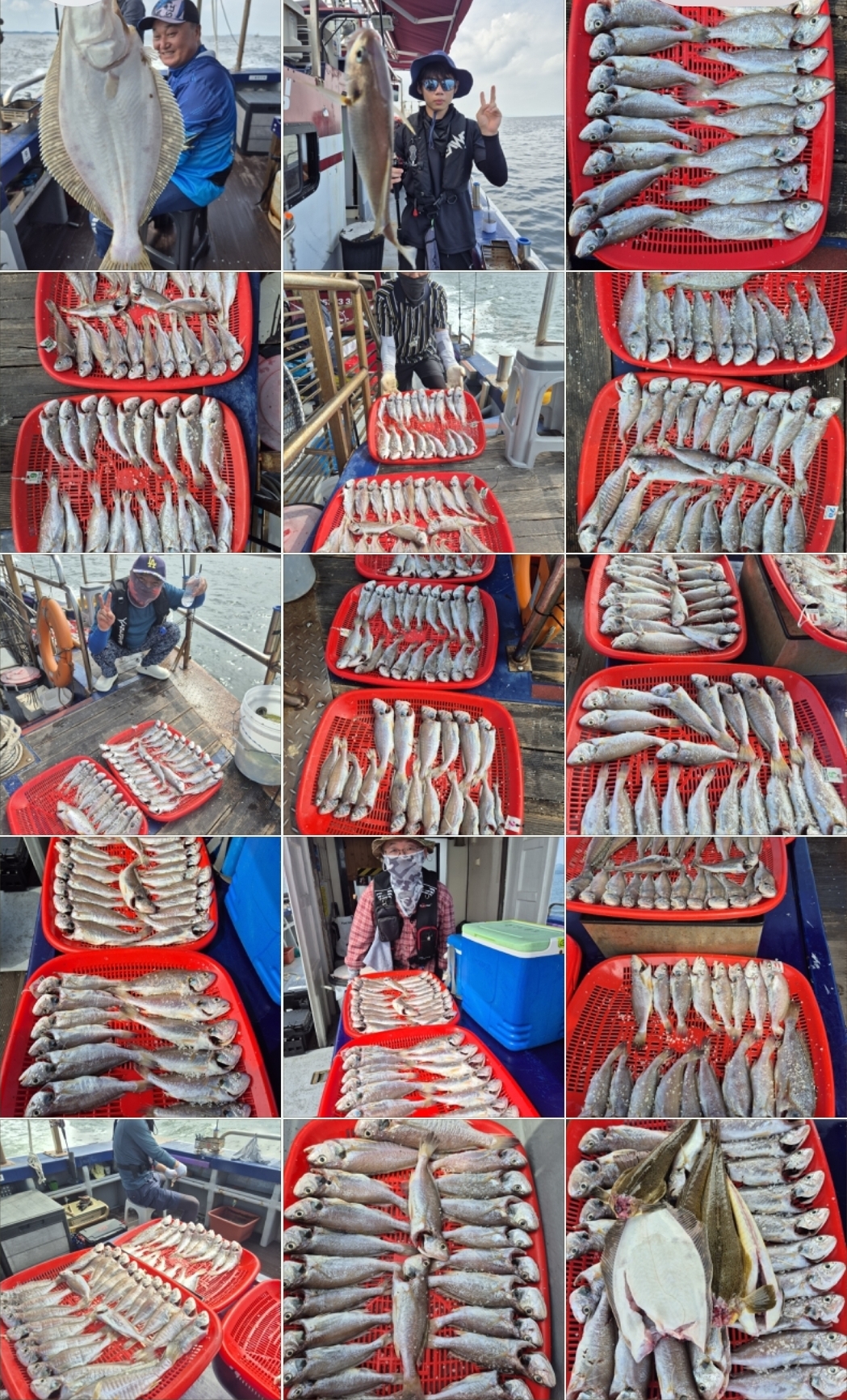 7월31일 뉴대성호 백조기조황
