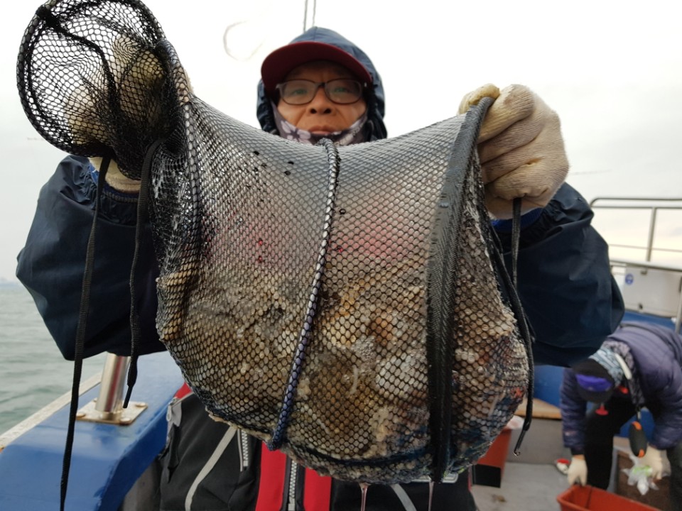 11월 14일 대성호 뉴대성호 대성1호2호 뉴해랑호 해성호 진영호 쭈꾸미조황