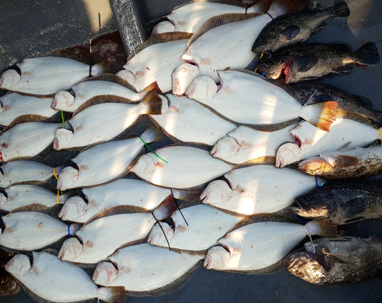 6월16일 15일 뉴대성호 다운샷+외수질