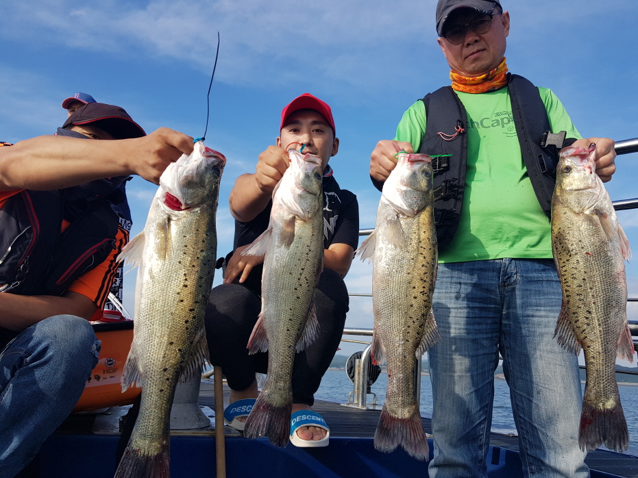 7월8일 대성호 다운샷 + 외수질