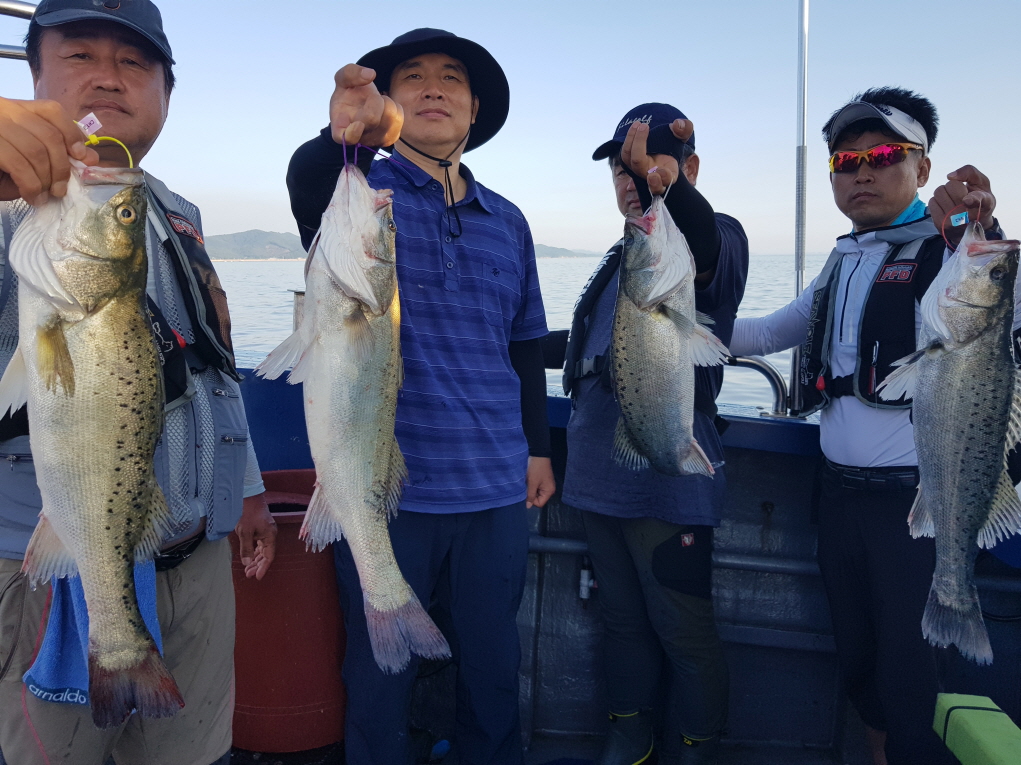 7월15일 대성호 다운샷 + 농어외수질