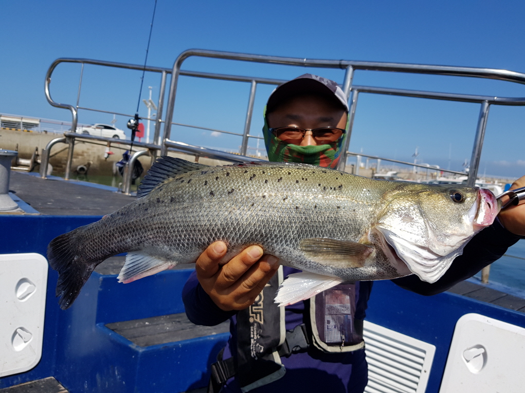 7월19일 대성호 농어외수질 짬낚시
