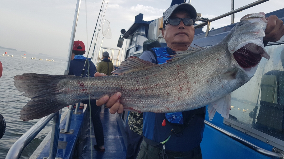 7월12일 대성호 외수질조황
