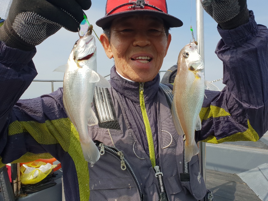 7월 8일 뉴대성호 백조기조황