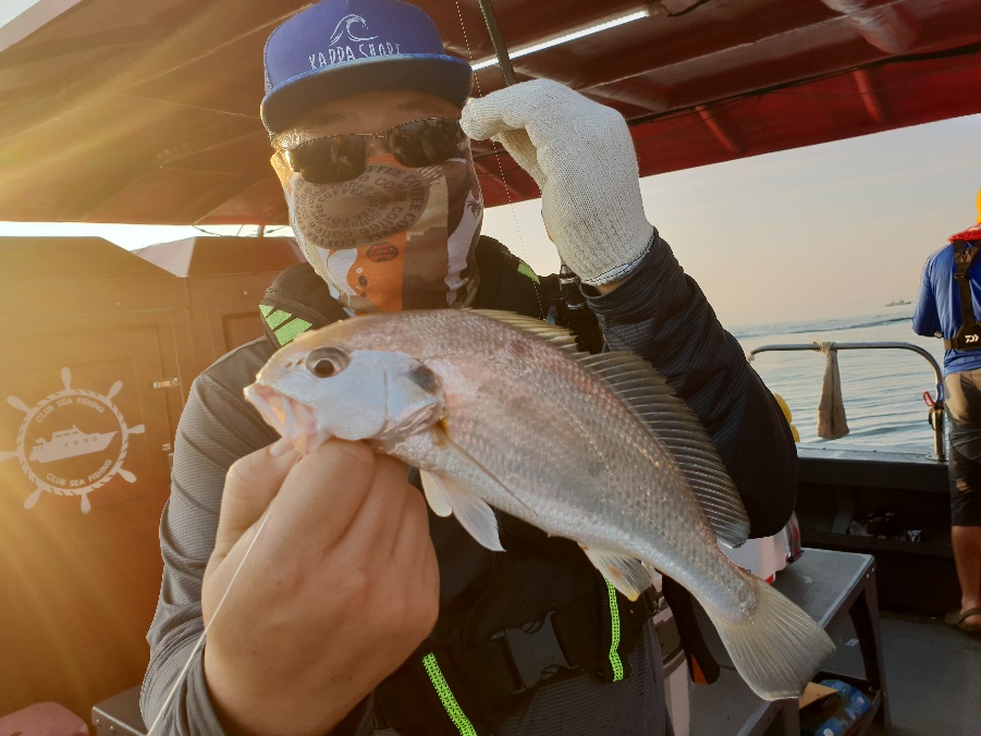 7월 22일 뉴대성호 백조기조황