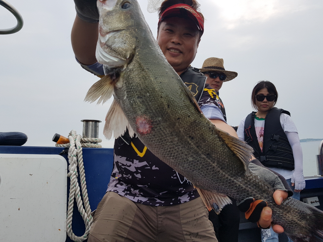 7월 22일 대성호 농어외수질조황