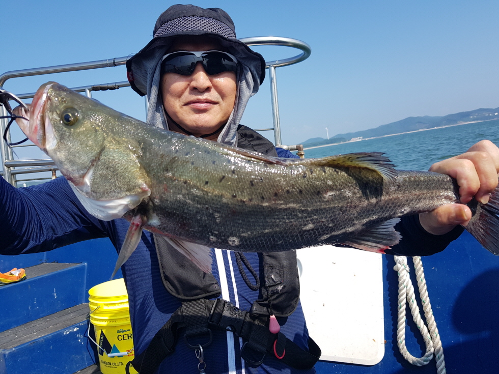 7월25일 대성호 외수질조황