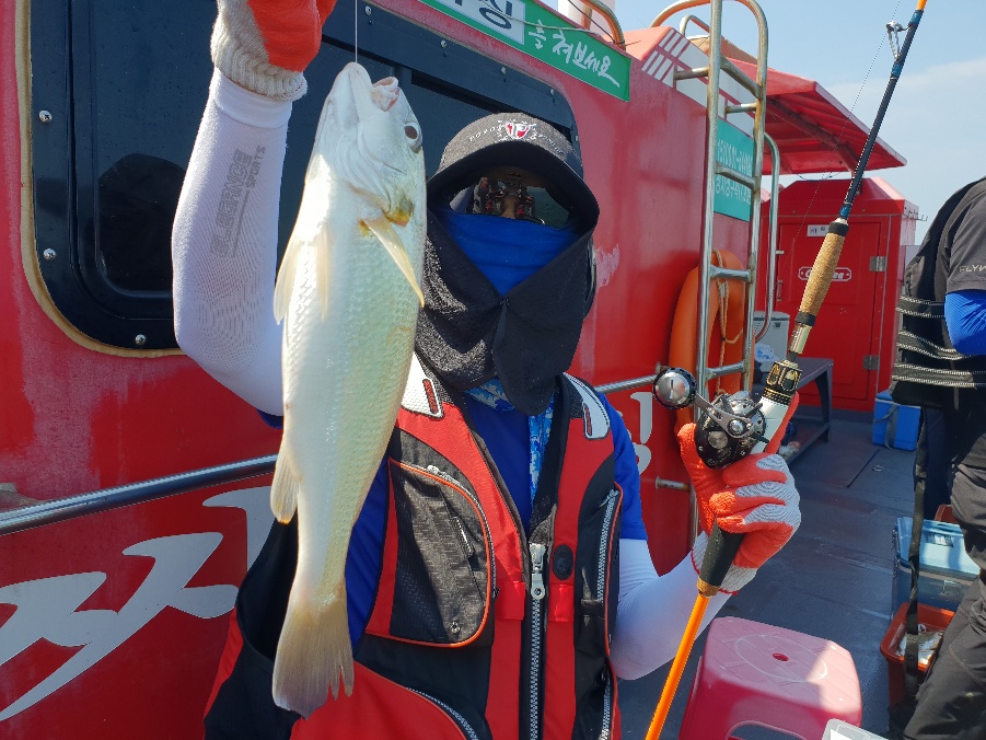 8월5일 뉴대성호 백조기조황