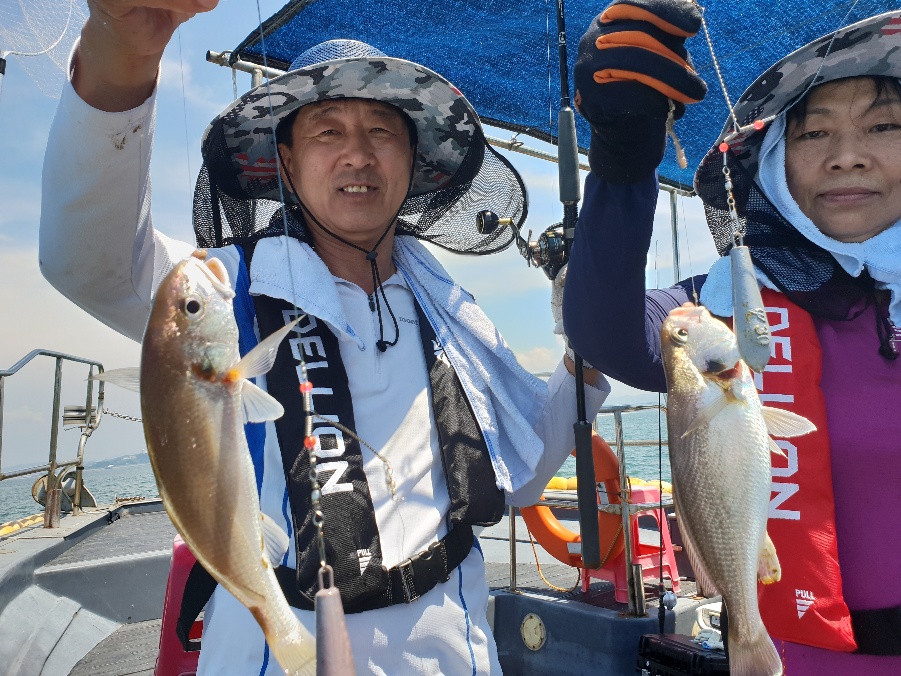 8월6일 뉴대성호 백조기조황