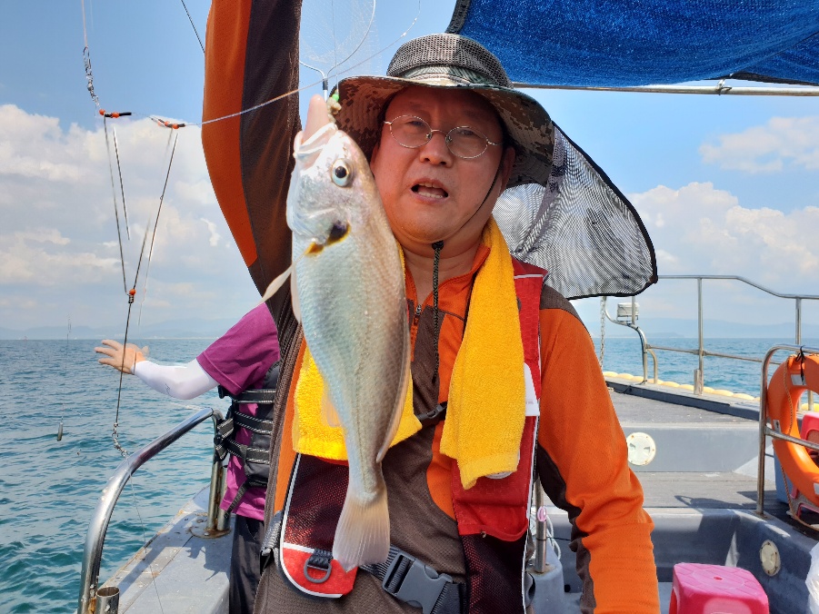 8월11일 뉴대성호 백조기조황