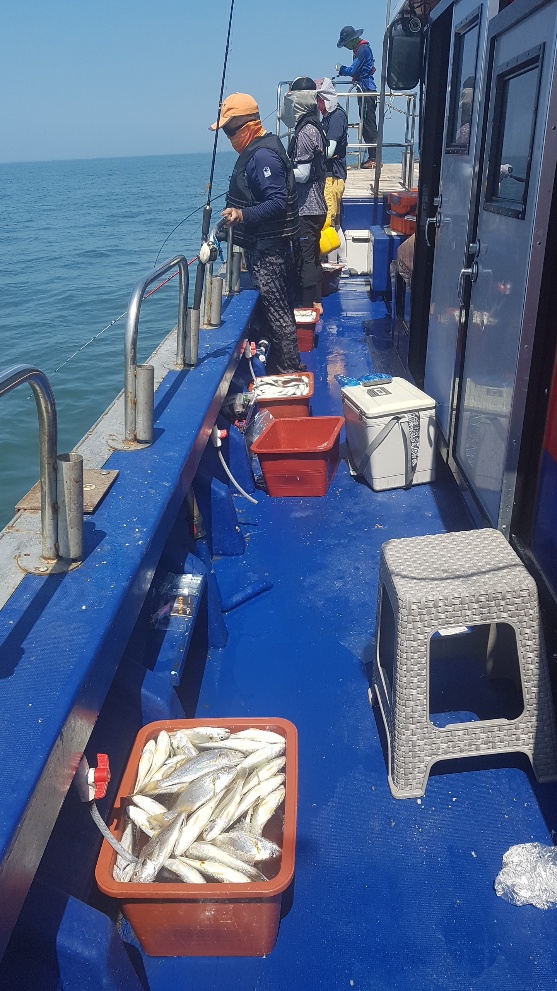 뉴해랑호 특파원~!!(실시간백조기)