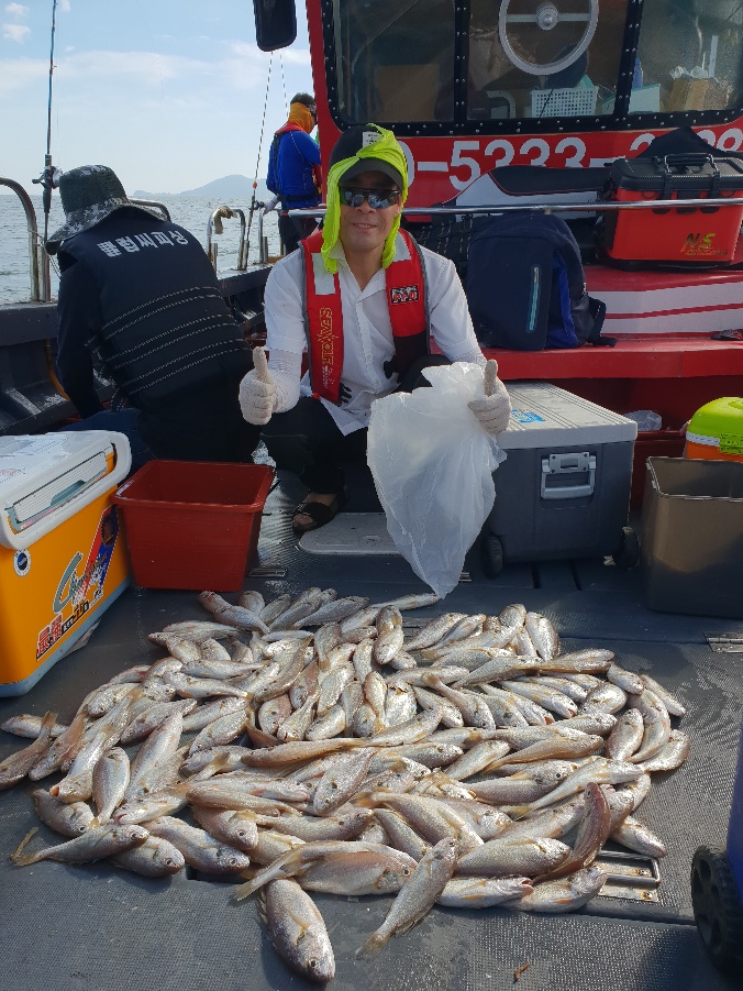 8월 19일 뉴대성호 백조기조황