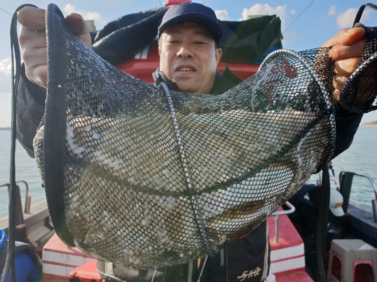 9월26일 뉴대성호 주꾸미조황