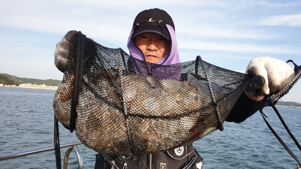 9월25일 뉴해랑호 쭈꾸미 조황