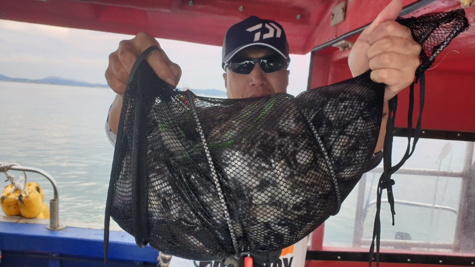 9월28일 뉴해랑호 쭈꾸미조황