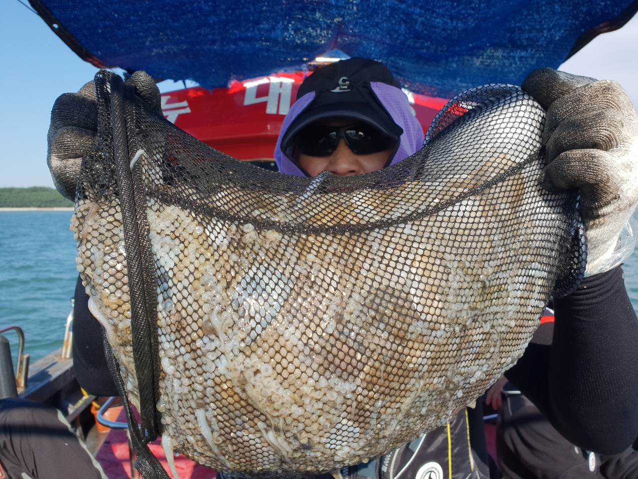 9월23일 뉴대성호 주꾸미조황