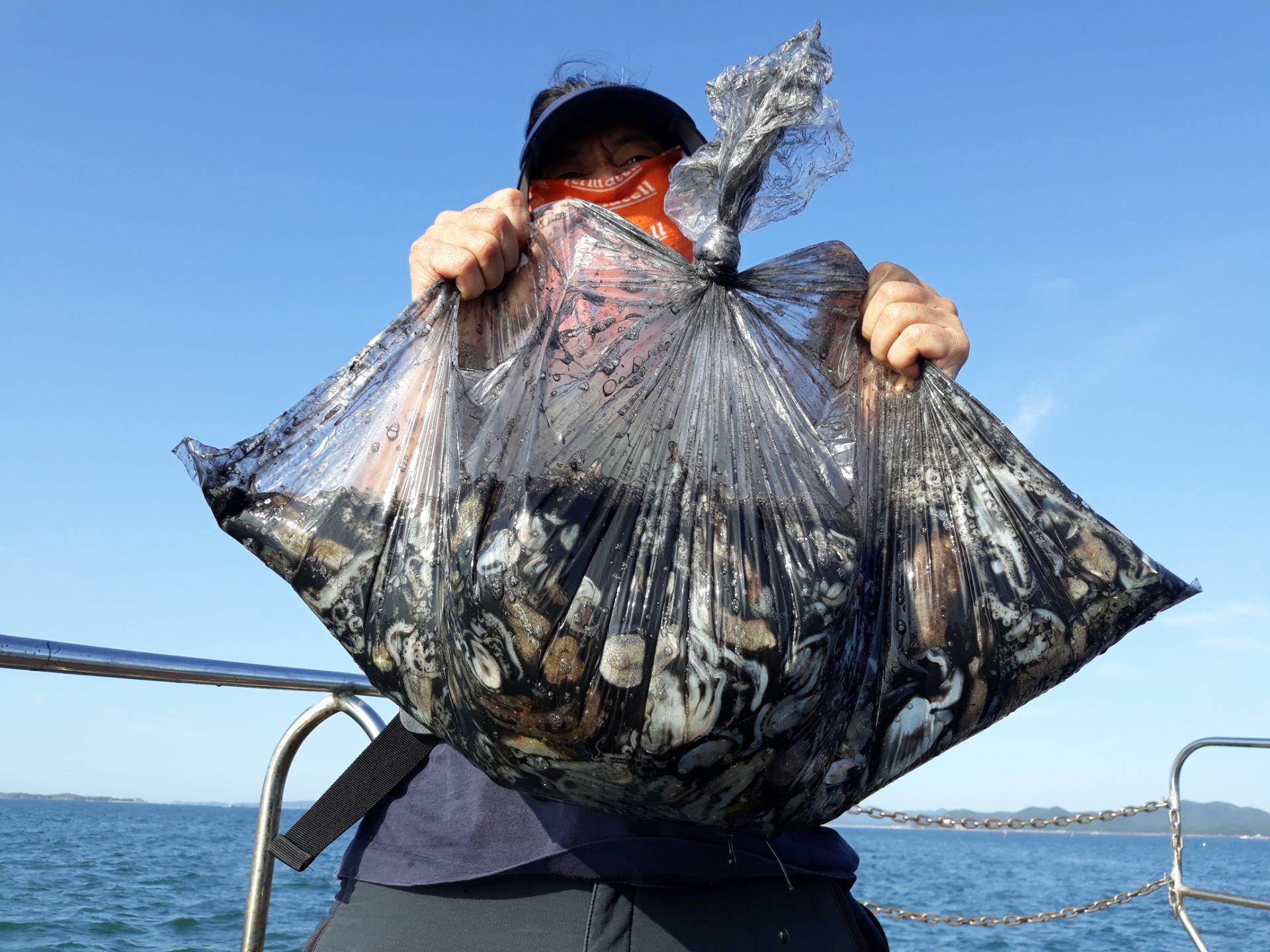 9월 22일 진영호 쭈꾸미 조황!