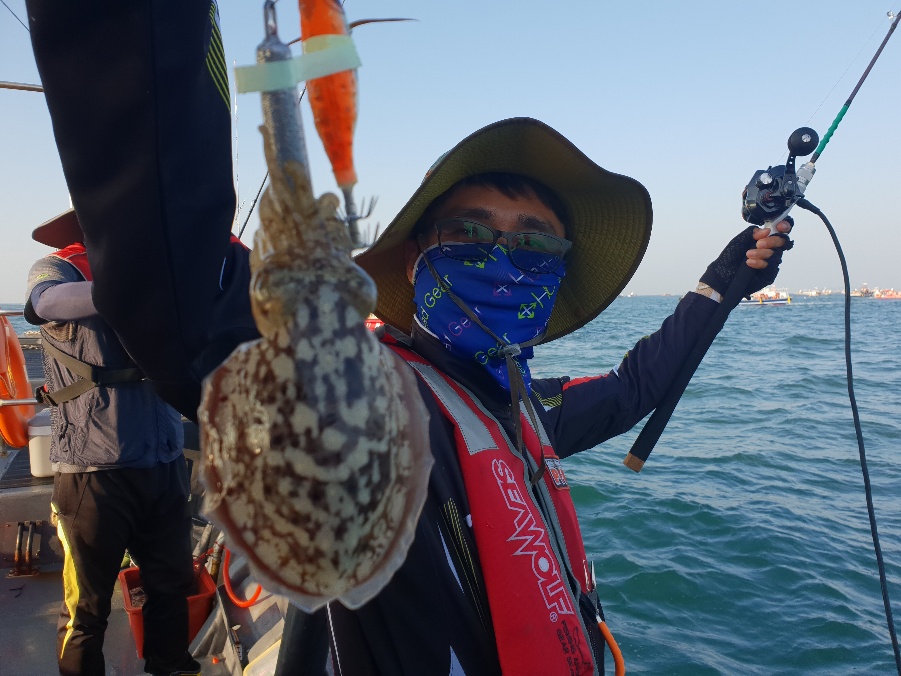 9월1일 뉴대성호 주꾸미조황