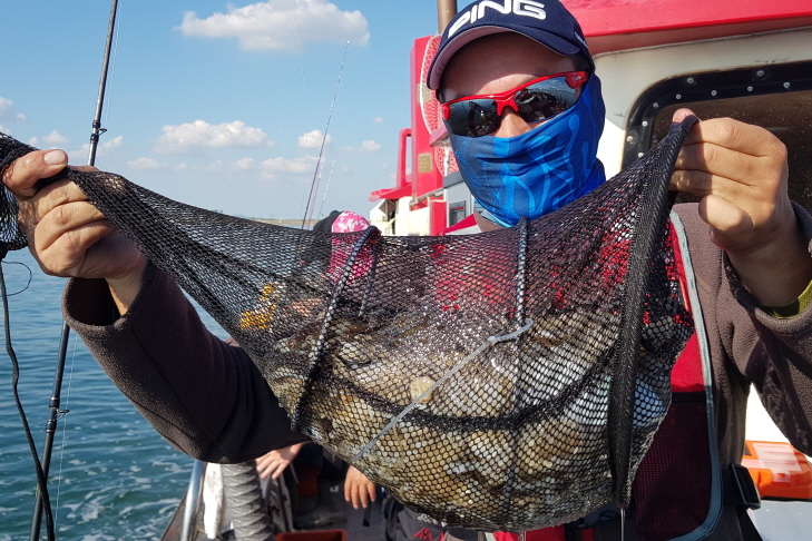 9월27일 대성1호 쭈꾸미 조황