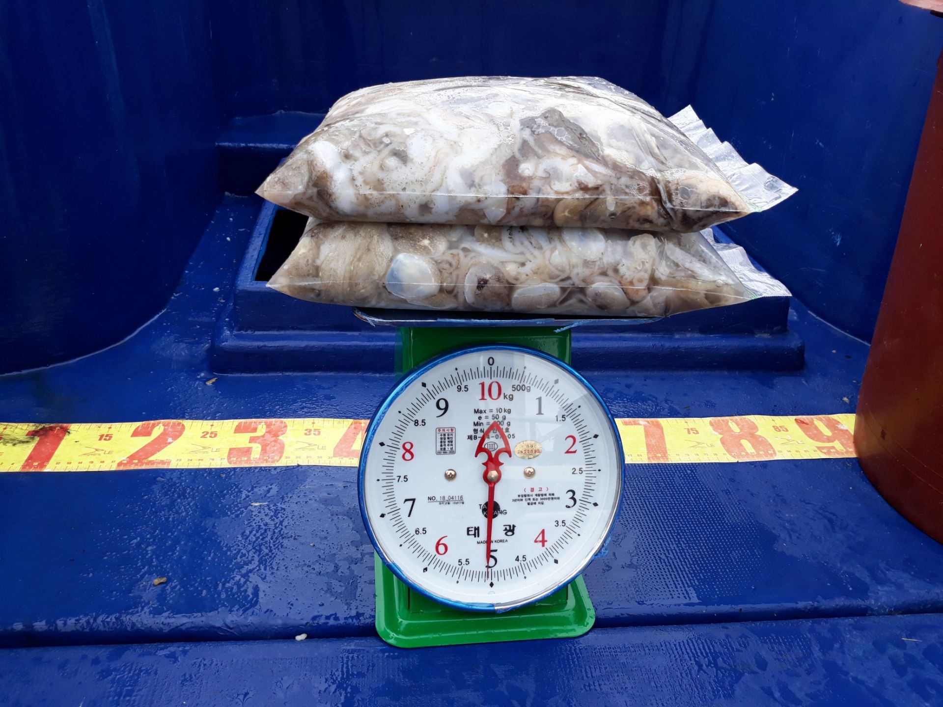 9월 3일 진영호 쭈꾸미 조황