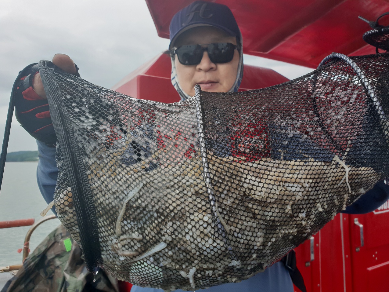 9월14일 뉴대성호 주꾸미조황