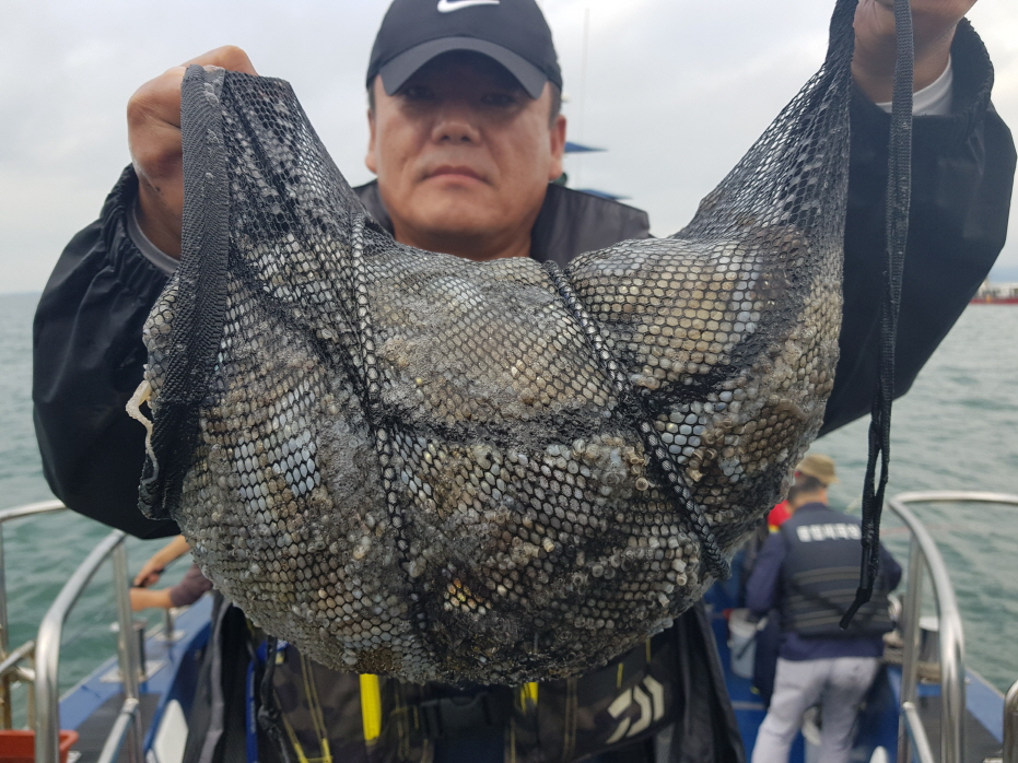 9월21일 대성호 주꾸미 대박조황