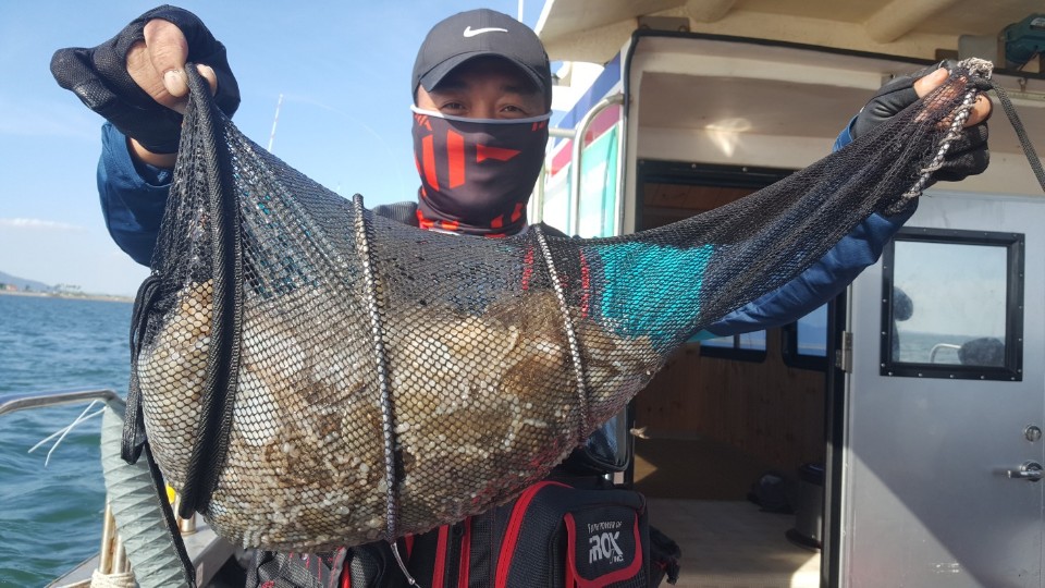 9월12일 해성호 주꾸미조황