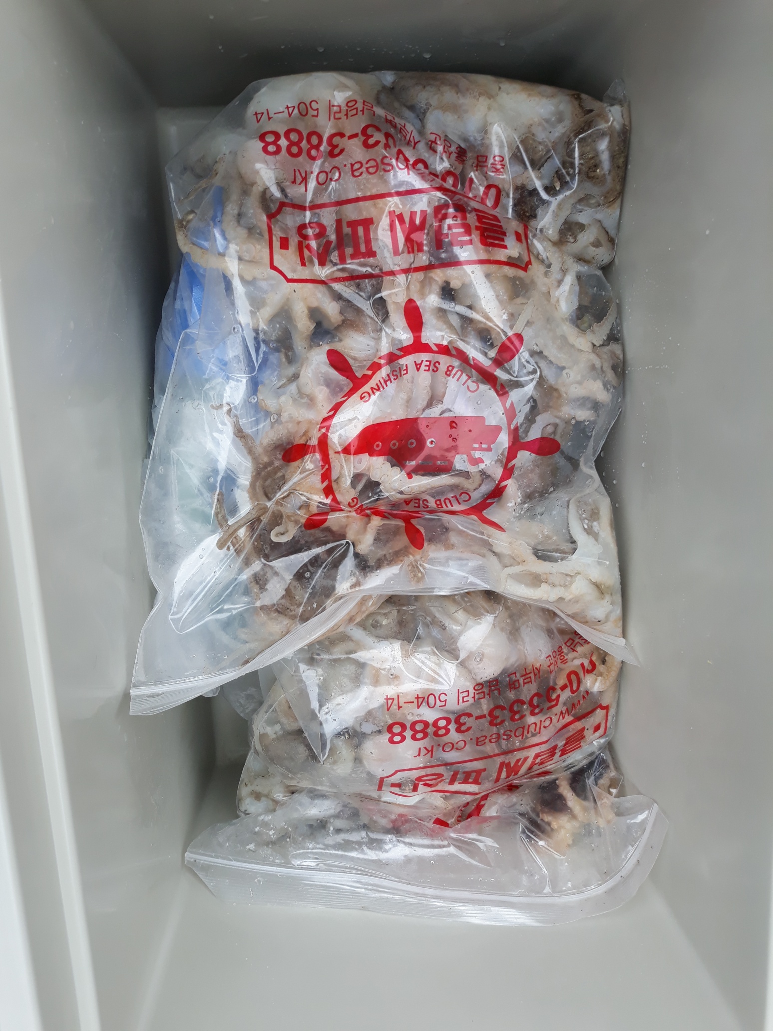 9월2일 진영호 쭈꾸미조황