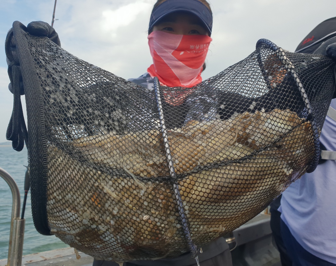 9월13일 뉴대성호 주꾸미조황