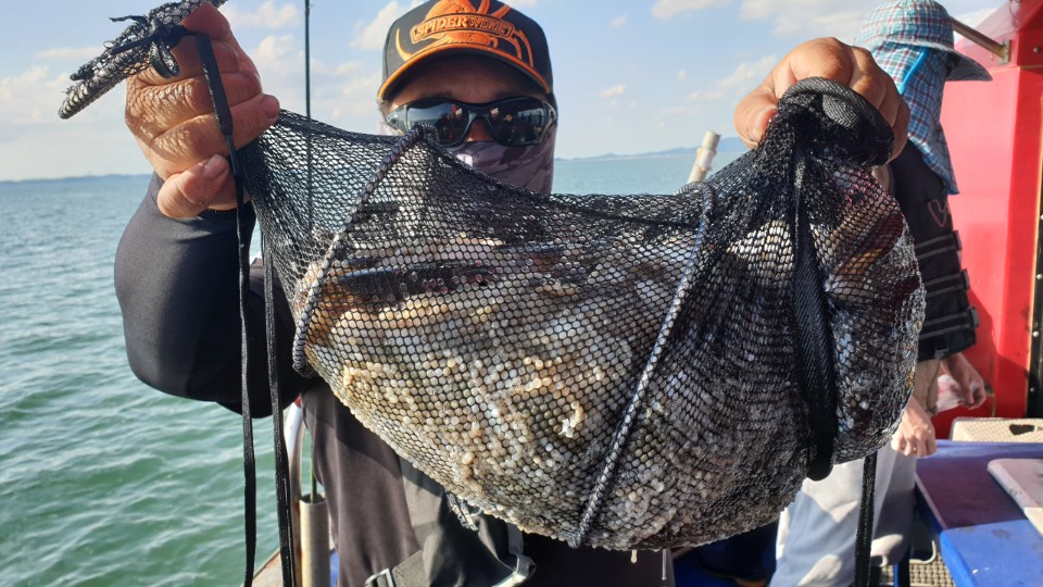 9월26일 뉴해랑호 쭈꾸미 조황