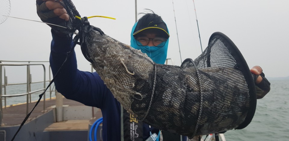 9월16일 대성1호 쭈구미조황