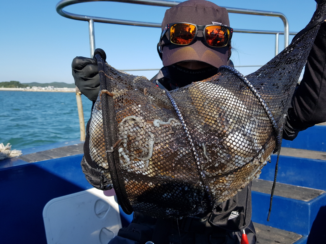 9월29일 대성호 쭈꾸미조황