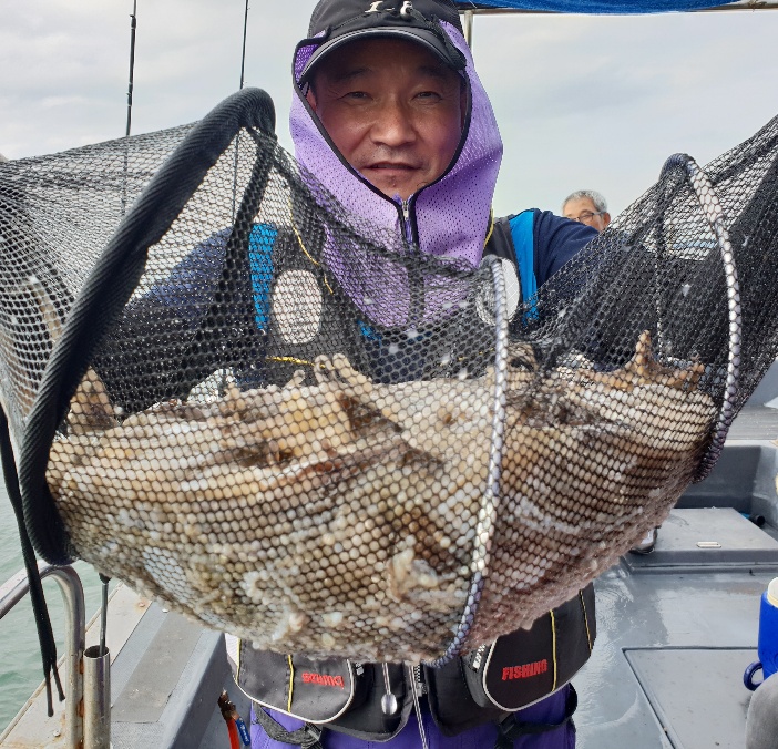 9월2일 뉴대성호 주꾸미조황