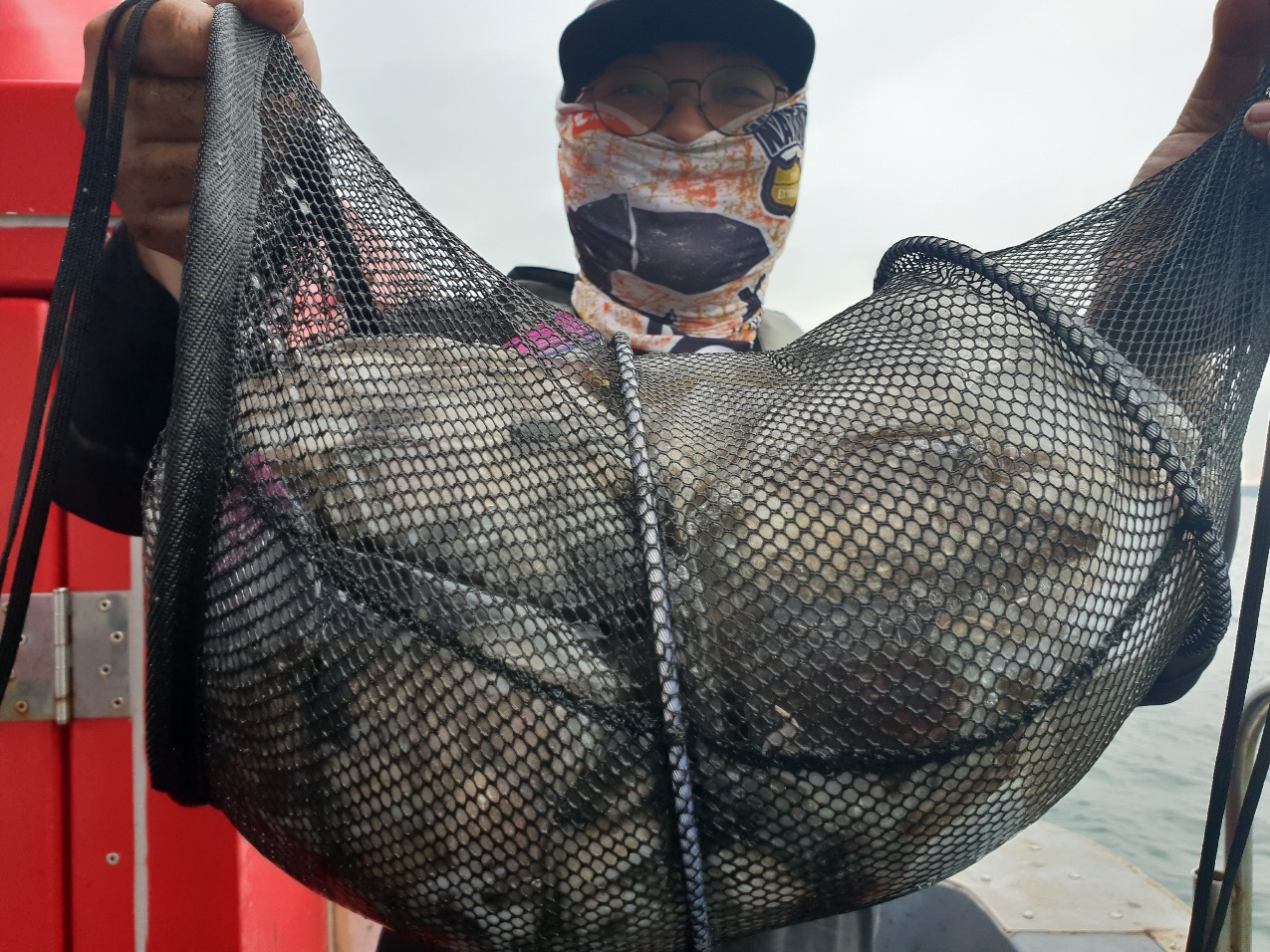 9월20일 뉴대성호 주꾸미조황