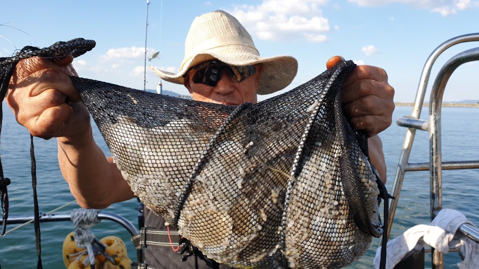 9월27일 뉴해랑호 쭈꾸미 조황