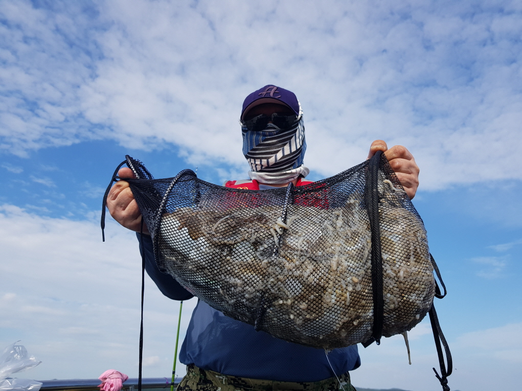 9월18일 대성호 주꾸미조황