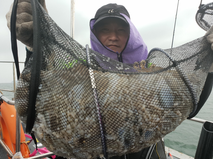 9월3일 뉴대성호 주꾸미조황