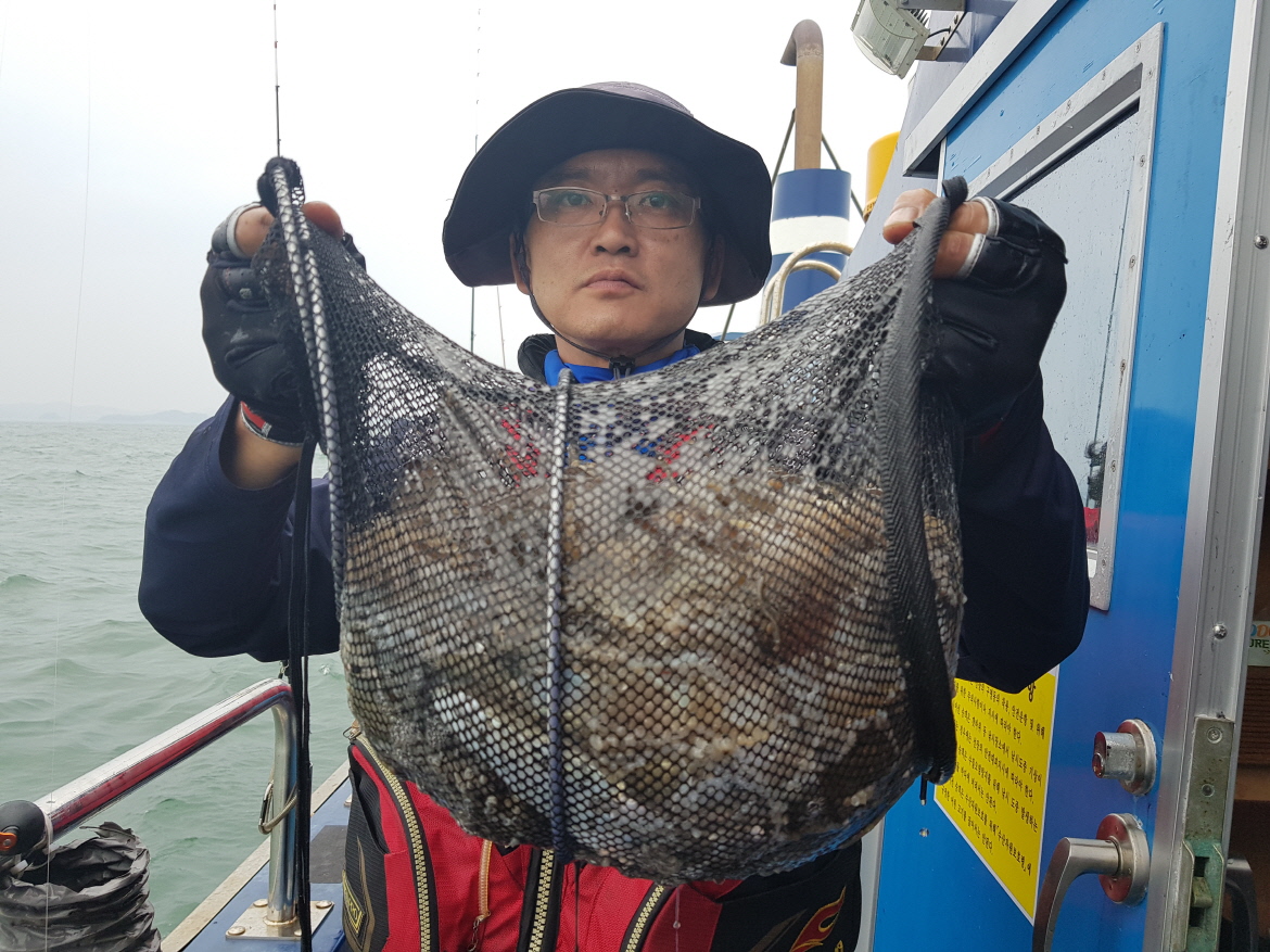 9월16일 대성호 쭈꾸미조황