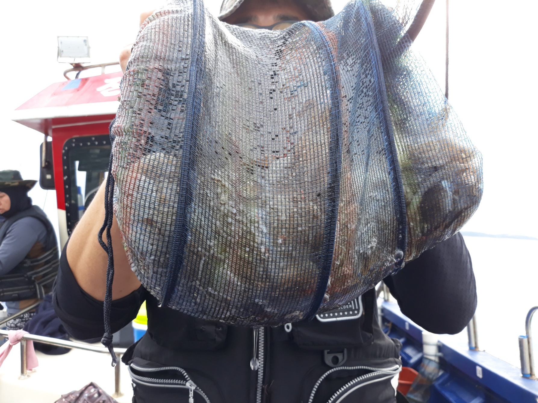 9월19일 진영호 쭈꾸미 대박조황!