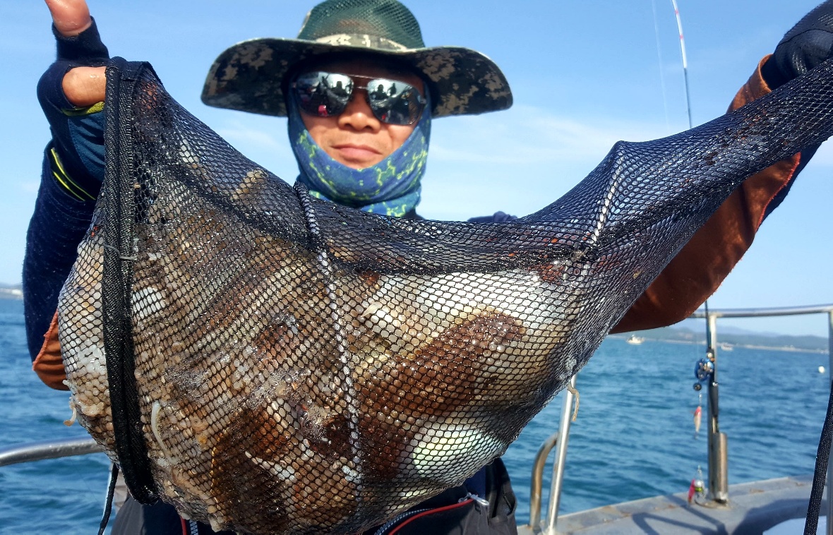 9월22일 해성호 쭈꾸미조황