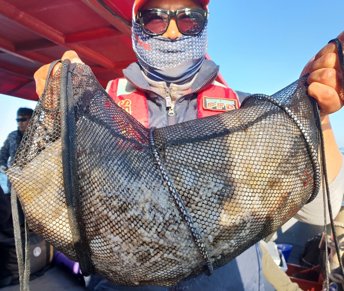 10월19일 뉴대성호 주꾸미조황