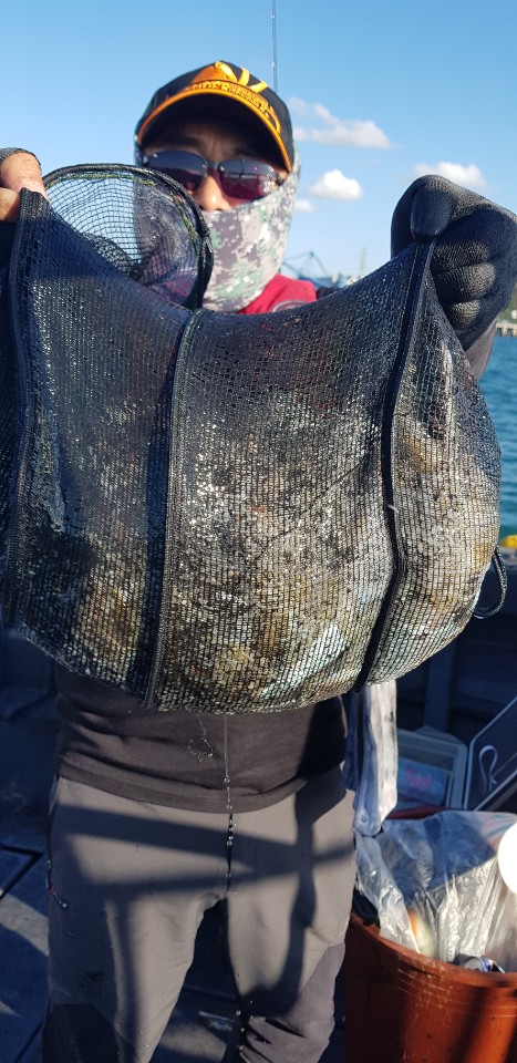 10월 17일 대성2호 주꾸미조황