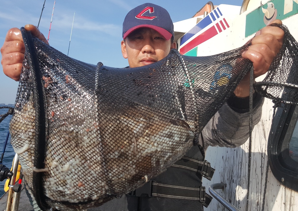 10월20일 해성호 쭈꾸미조황