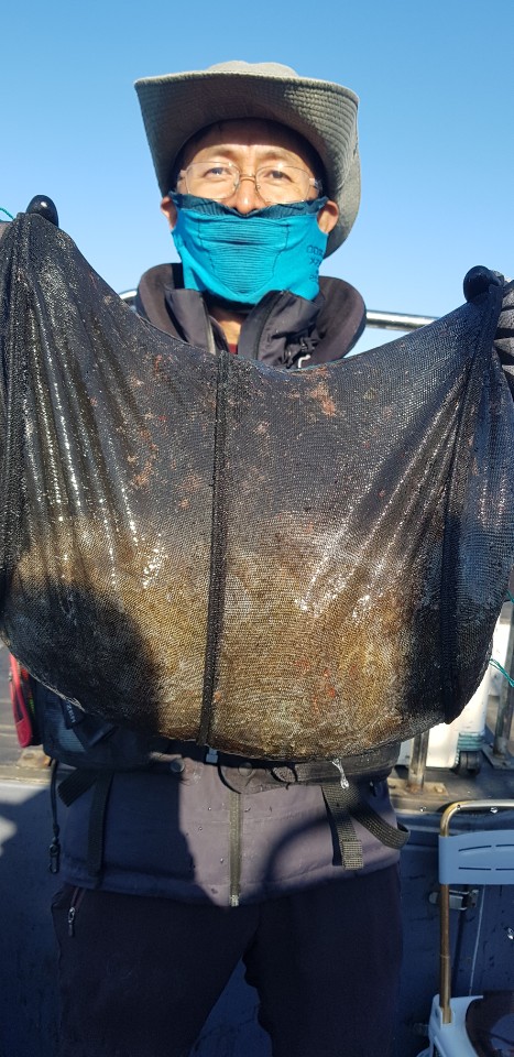 10월 19일 대성2호 주꾸미조황