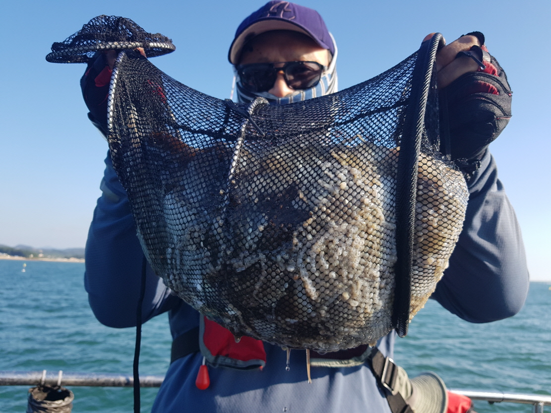 10월2일 대성호 쭈꾸미조황