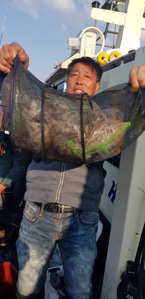 10월 18일 대성2호 주꾸미조황