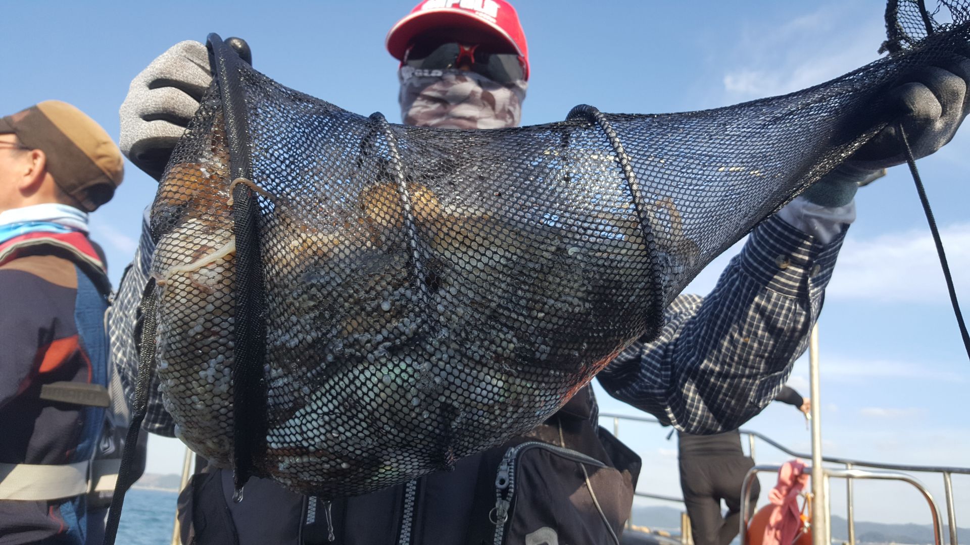 10월4일 해성호 쭈꾸미 조황